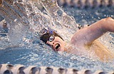 Boys swim team looks to defend state title