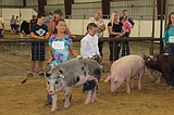Registration open for annual swine conference