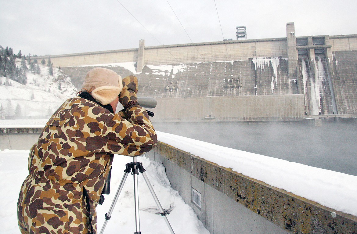 Gene Reckin, former high school biology teacher and Libby&#146;s Christmas Day Bird Count organizer, counting birds that feed along the bottom of the Libby Dam during the Christmas Day Bird Count on Dec. 17. (Bethany Rolfson/TWN)