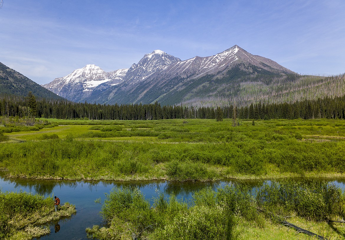 A hiker pauses on the edge of a meadow in Glacier National Park.