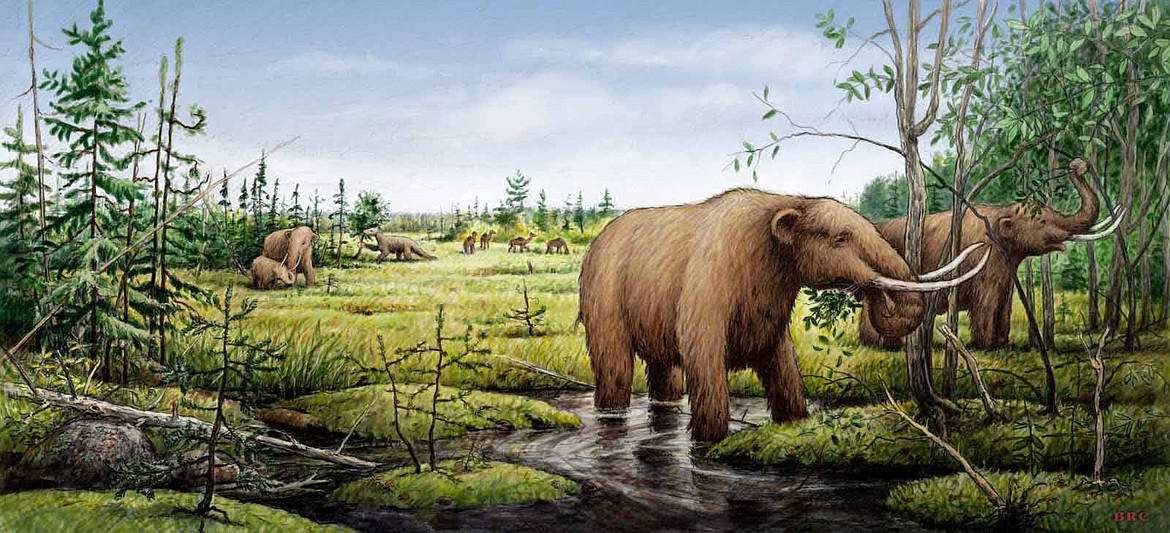 GOOGLE IMAGES
Mammoths &#151; now extinct &#151; were hunted by early humans in North America.