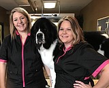 Bark Avenue is the newest dog grooming salon downtown