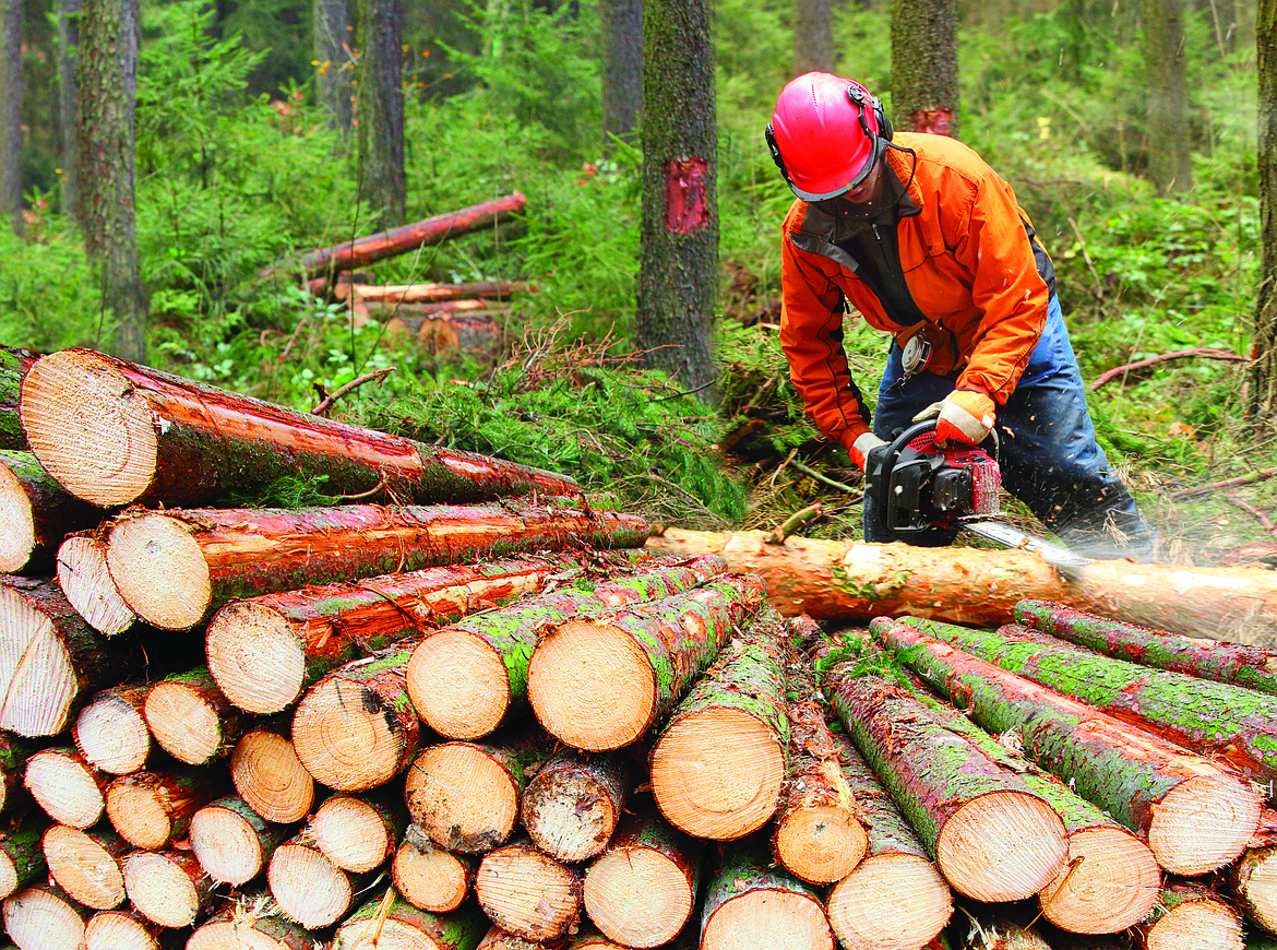 North Idaho College&#146;s Safety Fest offers more than 50 classes to choose from for workers in construction, general industry, mining, agriculture and logging.