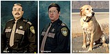Sheriff's office says goodbye to three valued members