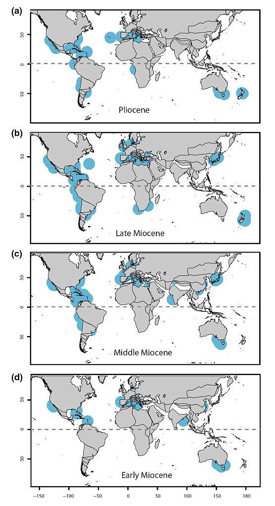 GOOGLE IMAGES
Where scientists say the prehistoric giant sharks swam during different geologic time periods.