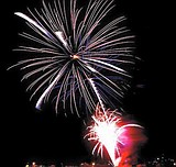 Chamber to spearhead a new summer festival