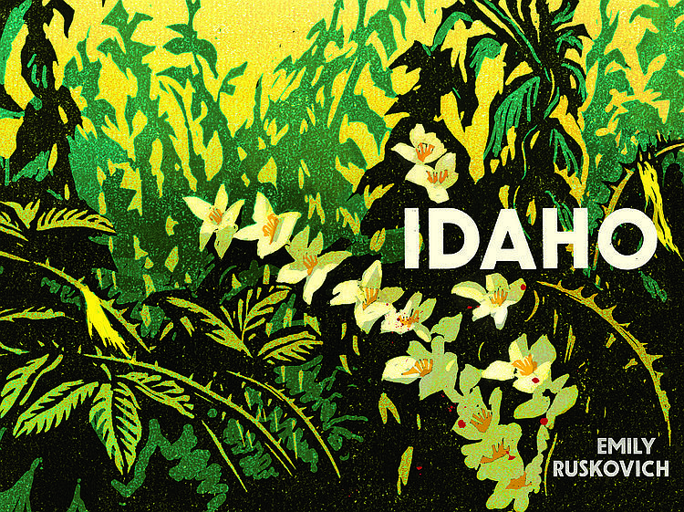 Emily Ruskovich&#146;s debut novel, &#147;Idaho,&#148; was released at the beginning of January and is receiving rave reviews across the nation. It is set in a fictional North Idaho town and is a poignant tale of grief, loss and memory.