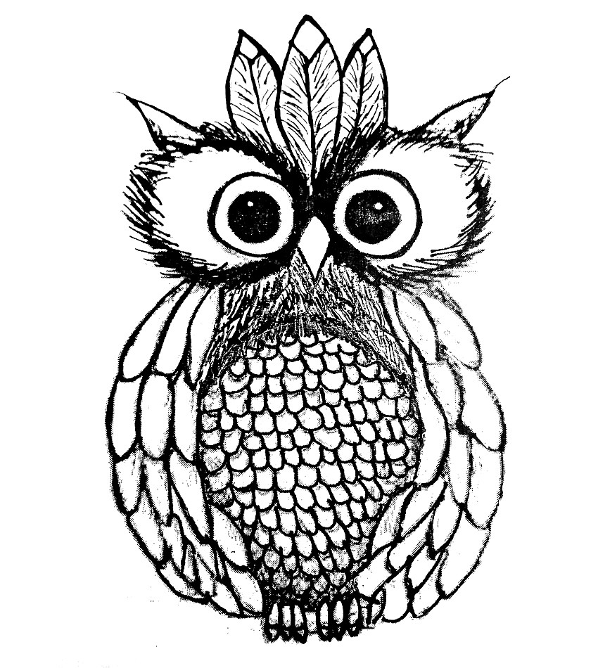 Summer and Amber Hargrove's logo for their new line of clothing, theRustic Owl.