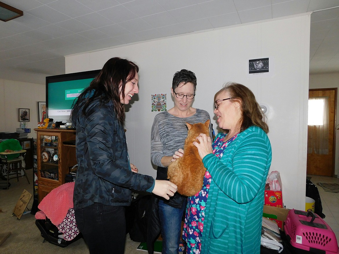 Photo by Molly Geiger
Silver Valley Cat Wrangler, Linda Langer, happily reunites Frank the cat with his rightful family, Sandra and Kalyn Boggio, nearly a year after the disappearance from their home in Hayden.