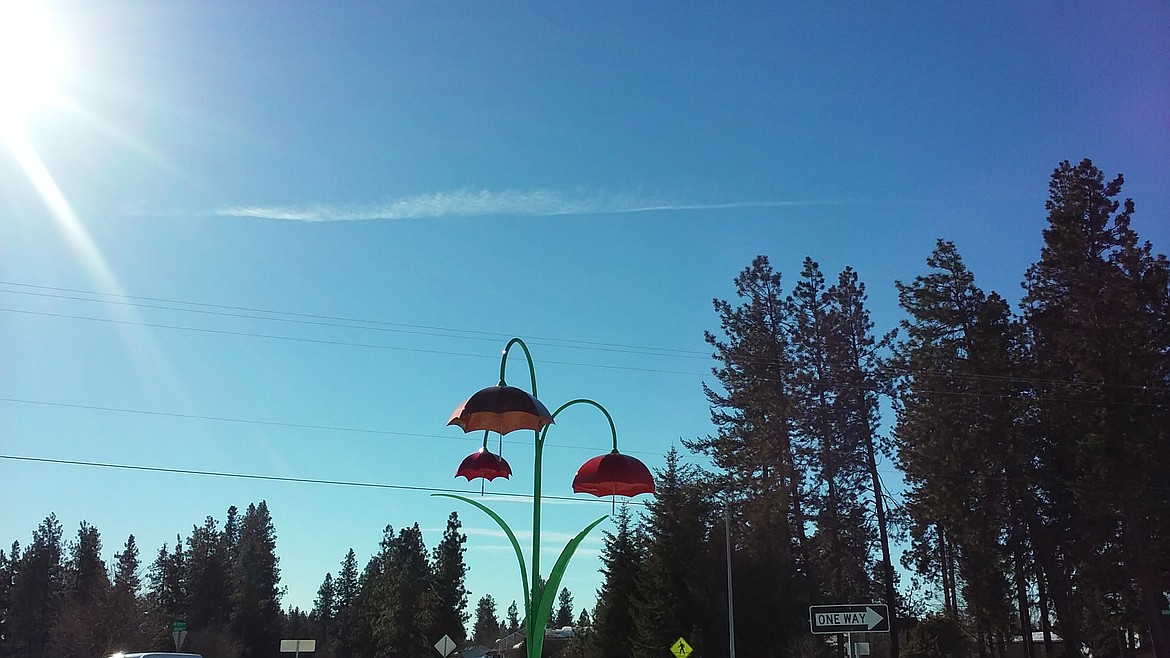 TYLER WILSON/Press
The roundabout (traffic circle) near the fairgrounds, featuring the public art installation, &quot;Umbrellas Gracilis.&quot;