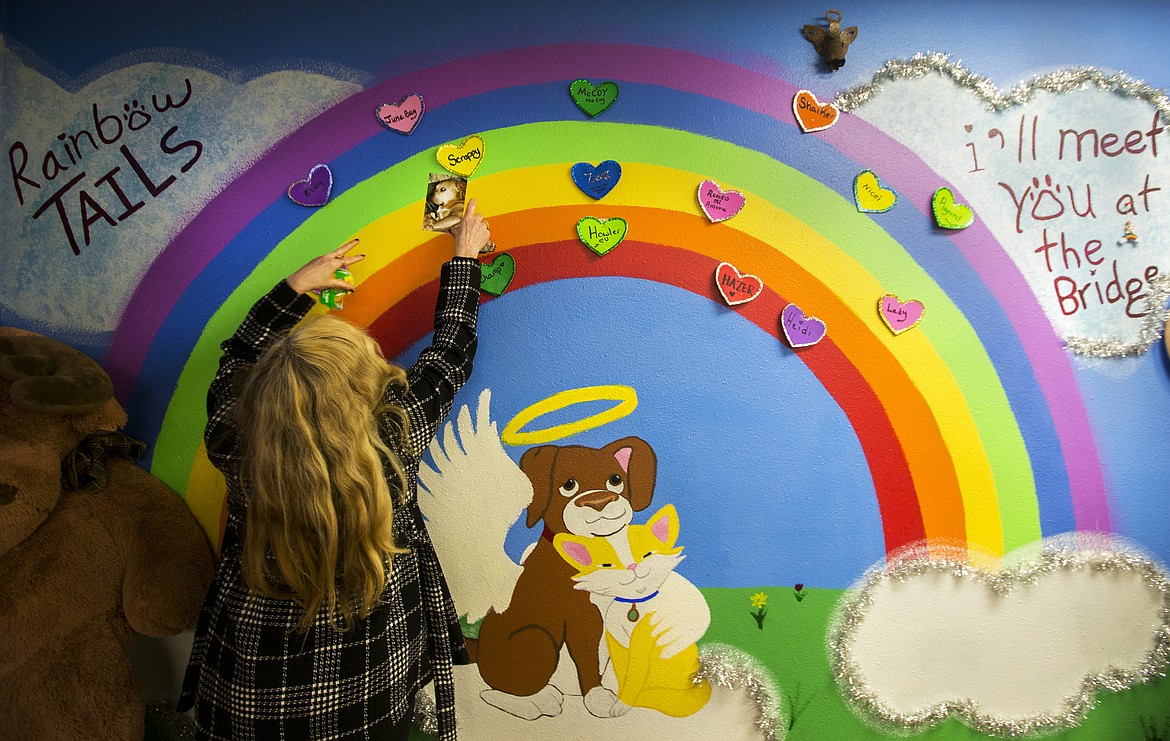 Photos by LOREN BENOIT/Press
Pamela Wallace tapes a photo of her 15-year-old pit bull, Scrappy, who died five days ago, onto the RainbowTAILS wall Wednesday evening at TAILS Thrift Store and Community Center in Post Falls. TAILS Foundation Inc. provides end of life services for ailing and aging pets and also helps owners humanely euthanize their pets. &#147;He [Scrappy] would change your opinion about pit bulls. He was a sweetie,&#148; said Wallace.