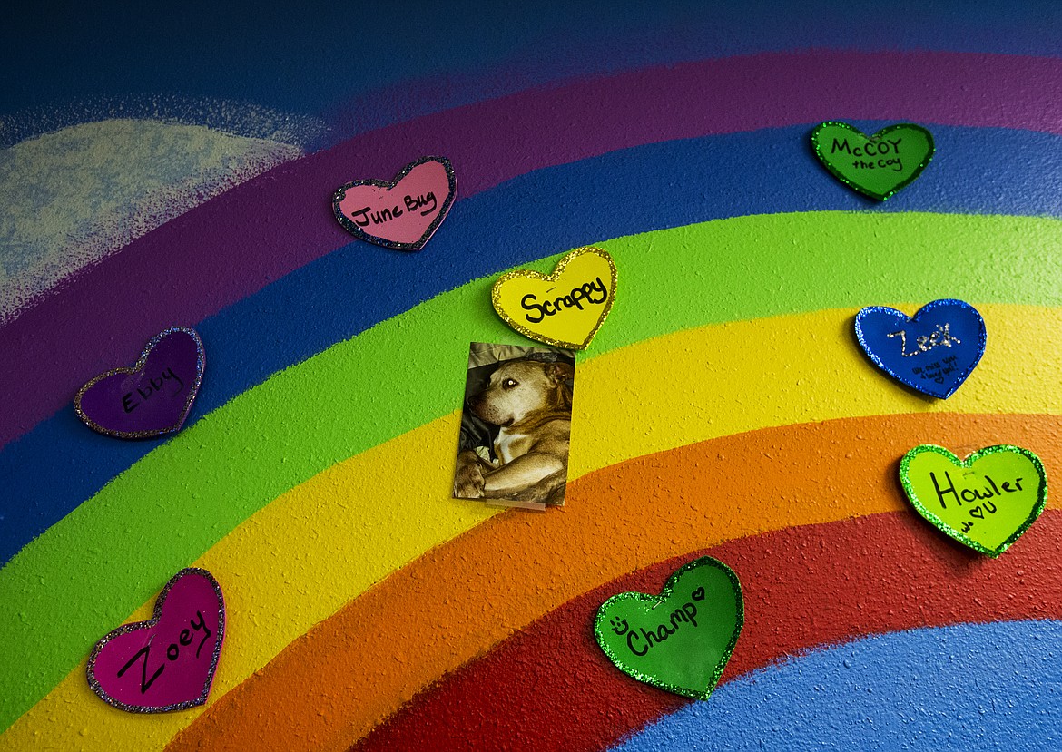 Various hearts with pet names are seen taped to the RainbowTAILS wall at TAILS Thrift Store and Community Center in Post Falls.