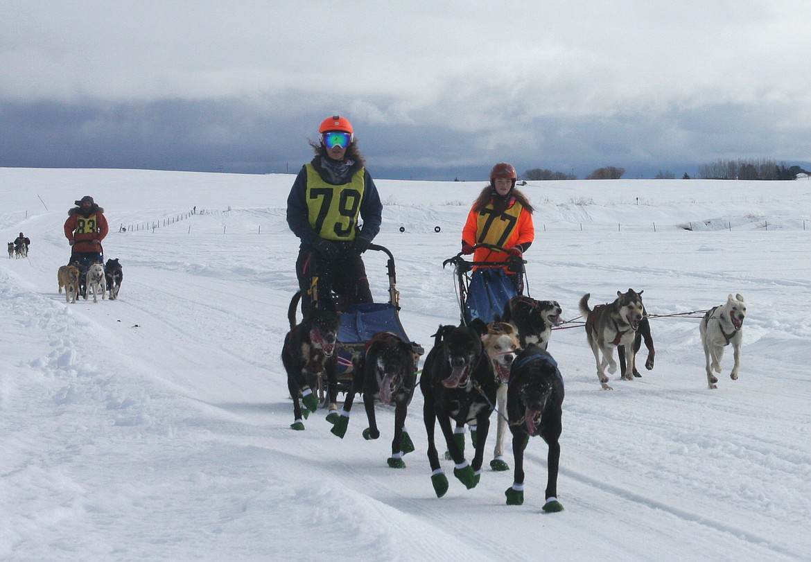 (Photo courtesy IDAHO DEPARTMENT OF COMMERCE)
Mushers race across Idaho for recreation and sport. Rep. Heather Scott recently introduced legislation to specifically exempt them from Idaho&#146;s 1996 ban on dog racing, which targeted high-stakes greyhound racing.