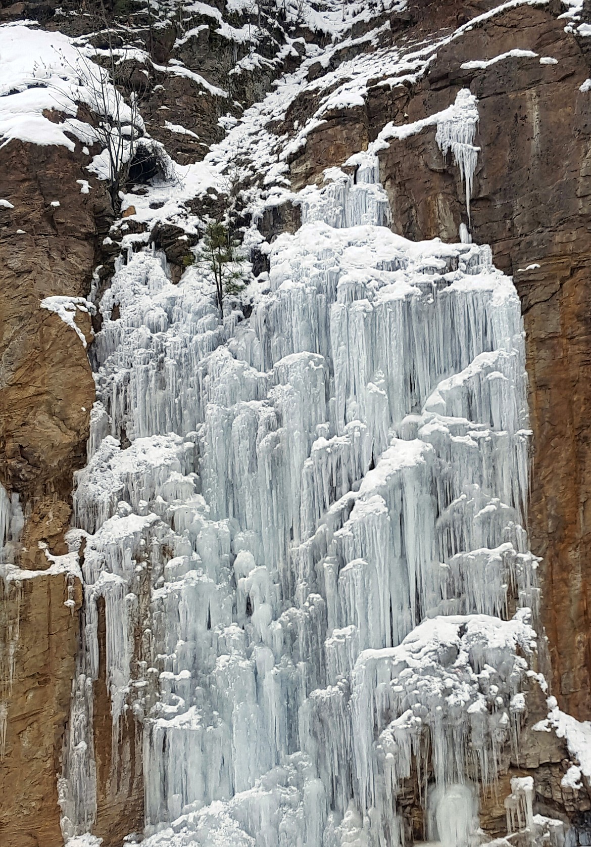 (Photo courtesy BELINDA HART)
Belinda Hart took this Best Shot showcasing the beauty of winter in North Idaho. If you have a picture you would like to see run as a Best Shot or I Took The Bee send it in to the Bonner County Daily Bee, P.O. Box 159, Sandpoint, Idaho, 83864; or drop them off at 310 Church St., Sandpoint. You may also email your pictures (in either JPEG or TIFF format at 300 dpi or greater) in to the Bonner County Daily Bee along with your name, caption information, hometown and phone number to bcdailybee@bonnercountydailybee.com. Make sure to include the words Best Shot or I Took The Bee in the subject line.