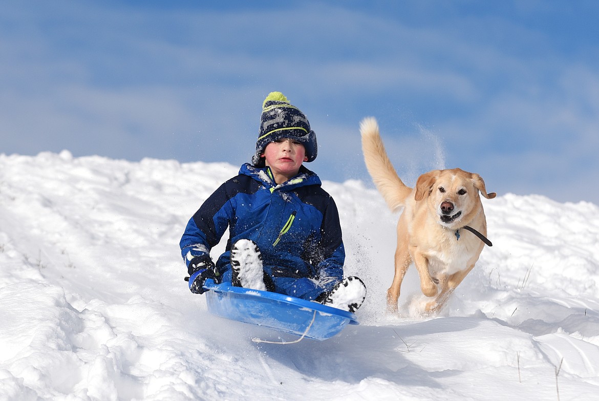 DYLAN SINGLETON, 6, goes off a jump as Otis, a Labrador-St. Bernard mix, chases him down the hill while sledding at Dry Bridge Park in Kalispell in December. (Aaric Bryan/This Week in the Flathead)