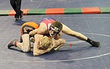 MatCats take second at state tourney