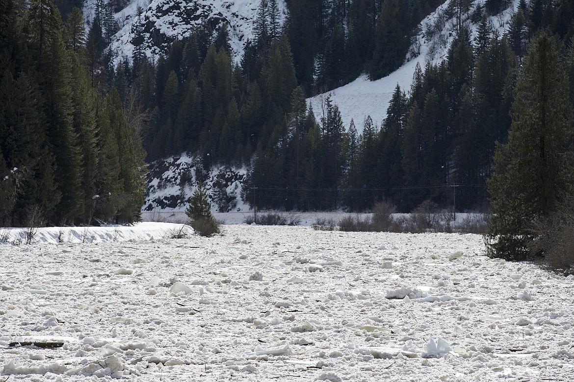 LOREN BENOIT/Press
Ice chunks collect along the St. Joe River near Calder Friday morning.