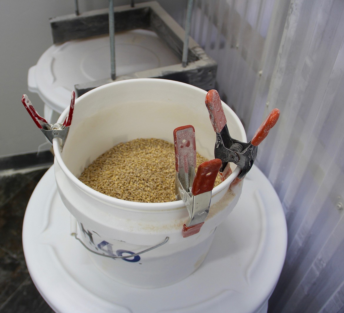 &#151;By DAC COLLINS
Before: this bucket of grain was harvested within sight of the building where the mill is housed.