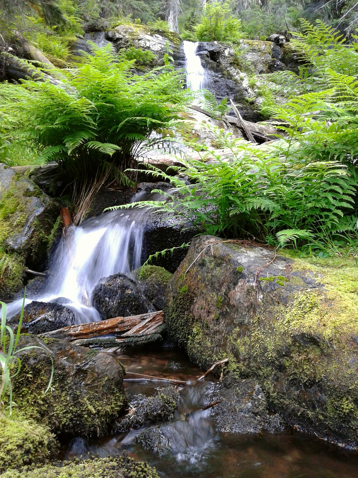 A picturesque waterfall just south of Thompson Pass along the Idaho Centennial Trail is just one of the many rewards for hiking it.