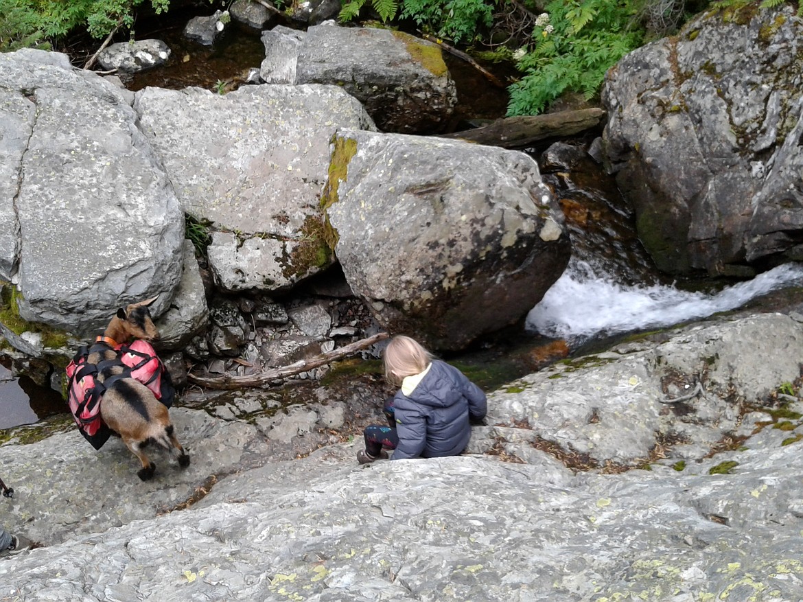 Tank checks on Ella during a steep section along the Idaho Centennial Trail.