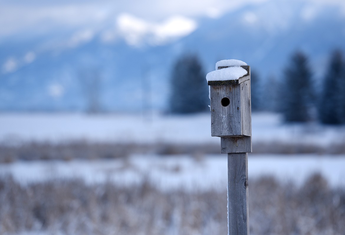 A VIEW from the Cummings property in Lower Valley in Wednesday, March 8. (Aaric Bryan/This Week in the Flathead)