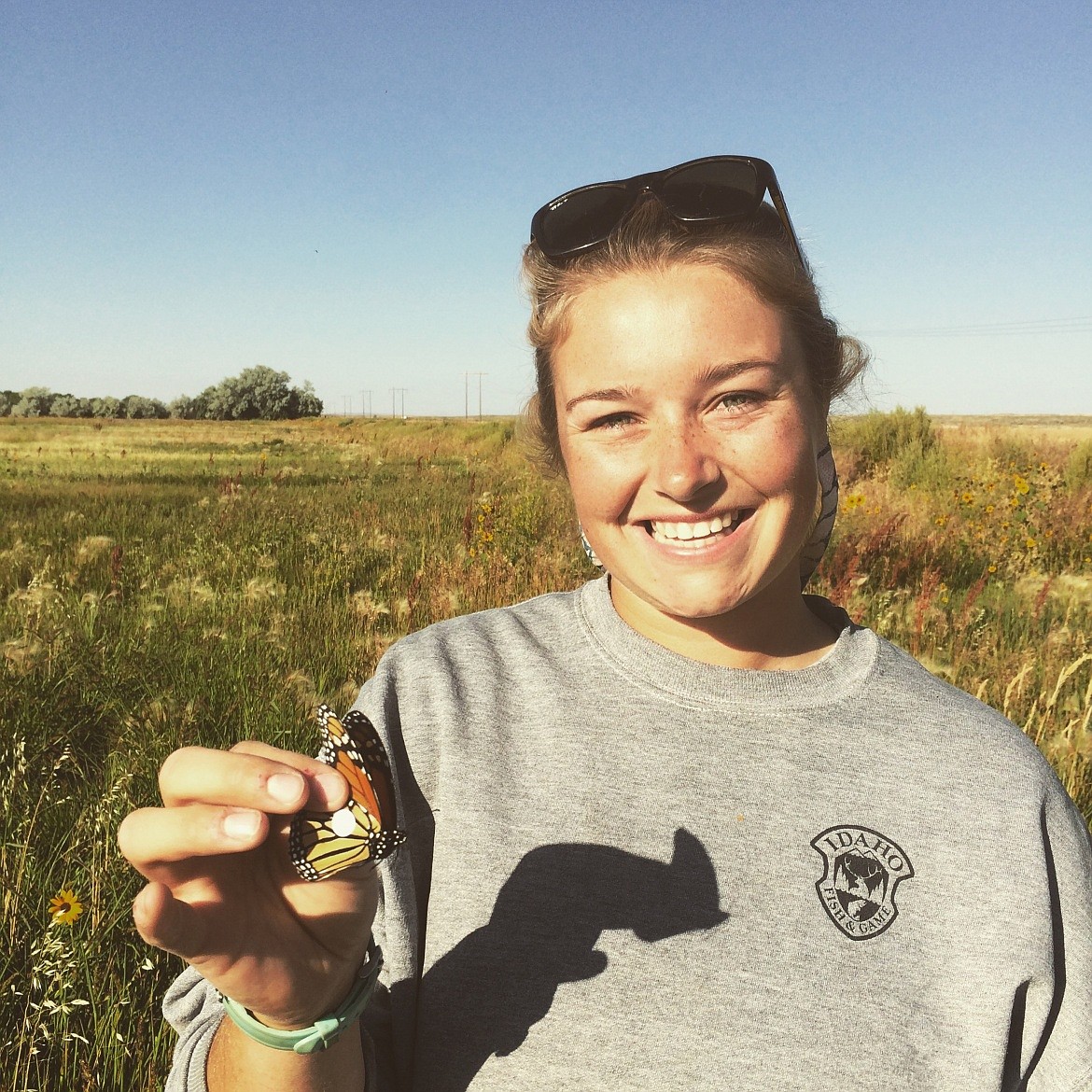 Fish and Game technician Kat Findlay holds a tagged butterfly about to be released at an Idaho wildlife conservation area.