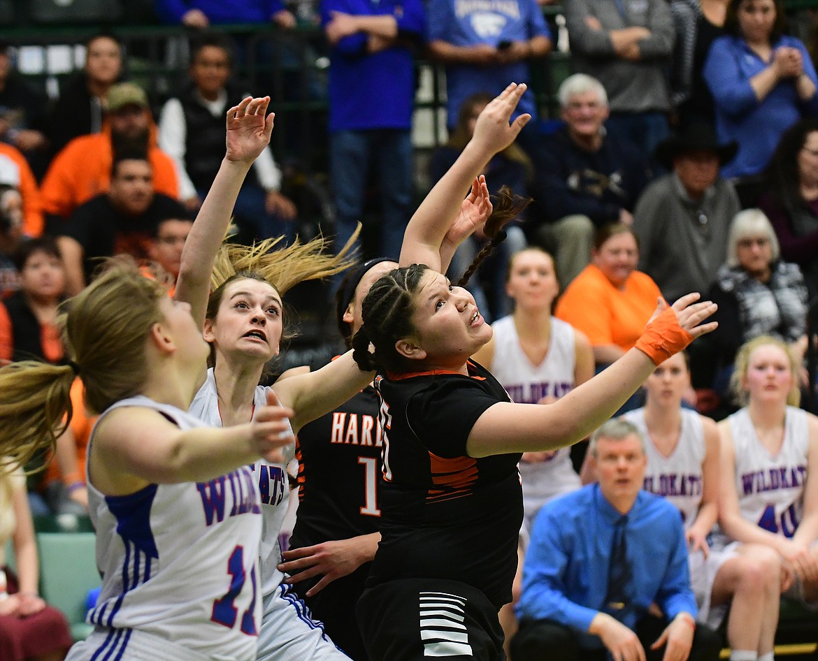 Senior Haylie Peacock watches her shot go into the basket. Peacock didn&#146;t see much playing time this year, but she did get two points in the championship.