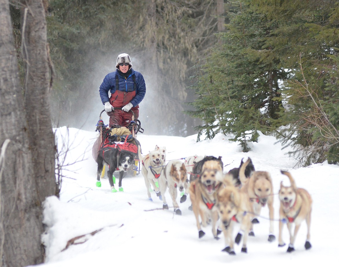 Clayton Perry of Power leaves the starting line of the Flathead Classic Sled Dog Race Saturday at the Dog Creek Trailhead west of Olney. Mushers traveled from Olney to Polebridge and then returned Sunday in the 82-mile race. (Heidi Desch/Whitefish Pilot)