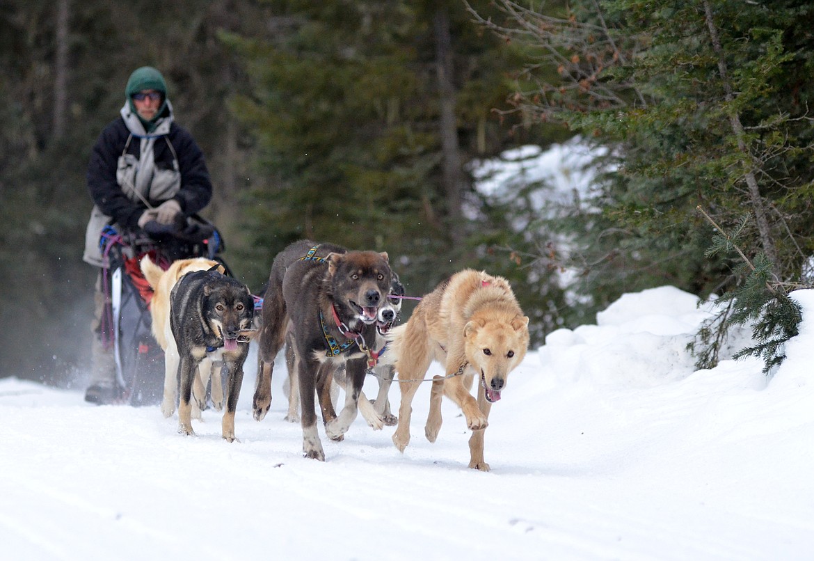 Roy Etnire&#146;s team pulls hard leaving the starting line of the Flathead Classic Sled Dog Race Saturday at the Dog Creek Trailhead.