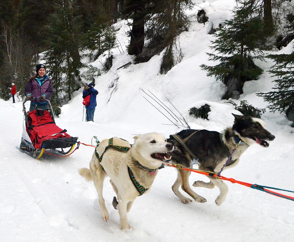 Charlotte Burkhardt leaves the starting line Saturday during the six-dog class of the Flathead Classic Sled Dog Race at the Dog Creek Trailhead west of Olney. Mushers traveled from Olney to Polebridge and then returned Sunday in the 82-mile race. (Heidi Desch/Whitefish Pilot)