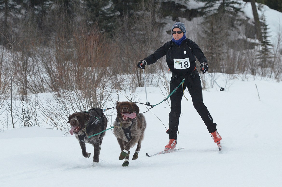 Teresa Petterson comes in to the finish line Saturday during the two-dog skijoring race.