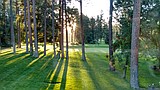 Gearing  for golf