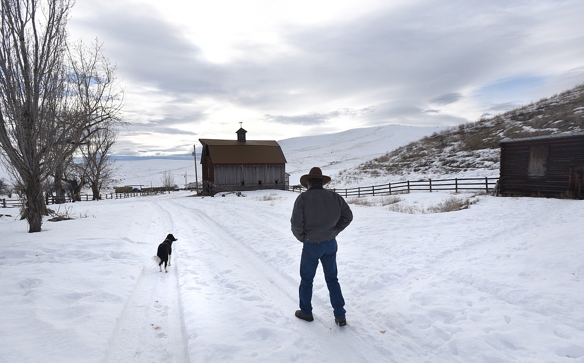 Jeff Morrow walks with his dog Bonnie to his barn in Niarada.