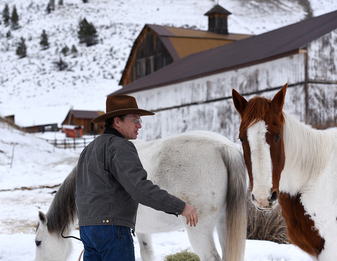 Jeff Morrow feeds his horses at his place in Nirada on Wednesday, Feb. 15, 2017. (Aaric Bryan/Daily Inter Lake)