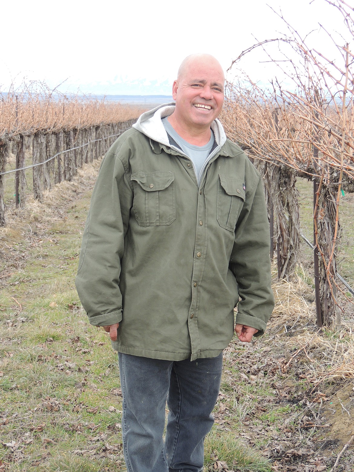 Ted Escobar/The Sun Tribune - Sagemoor Vineyards Manager Miguel Rodriguez enjoys being in the vineyards any time of the year.