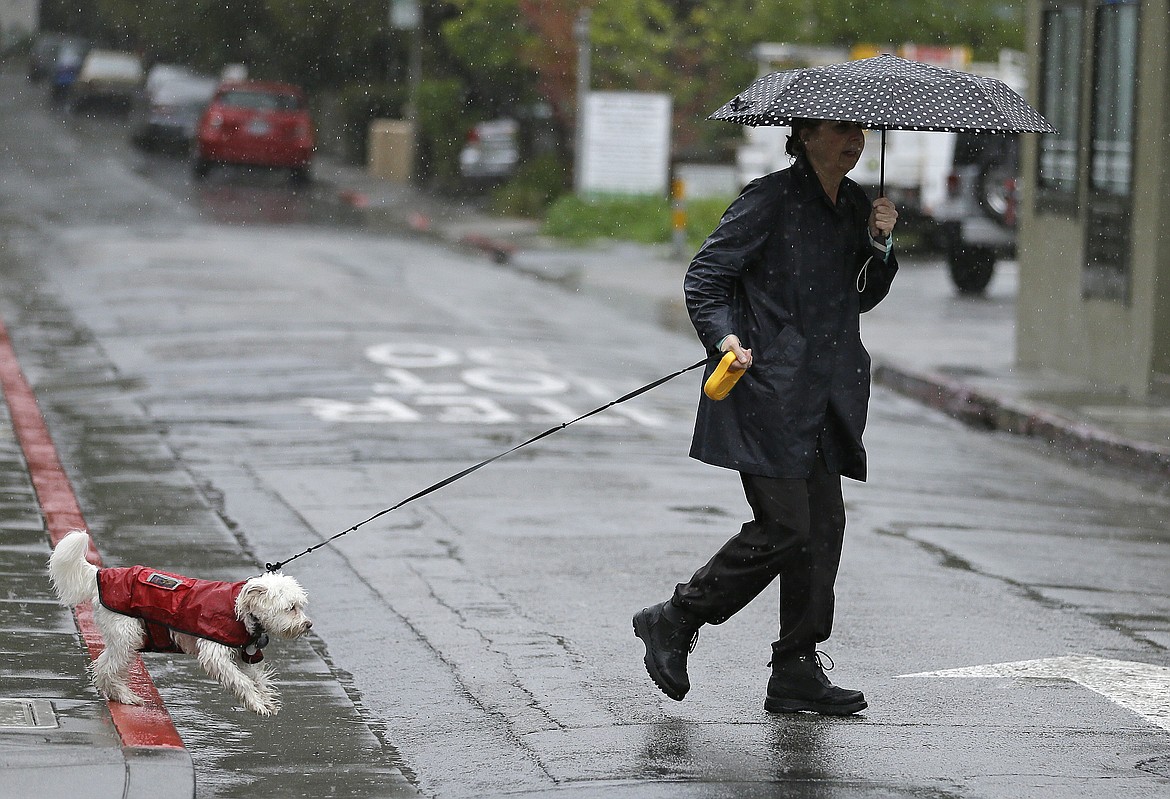 AP Photo/Eric Risberg
A woman walks her dog in the rain, Feb. 20, in San Anselmo, Calif.