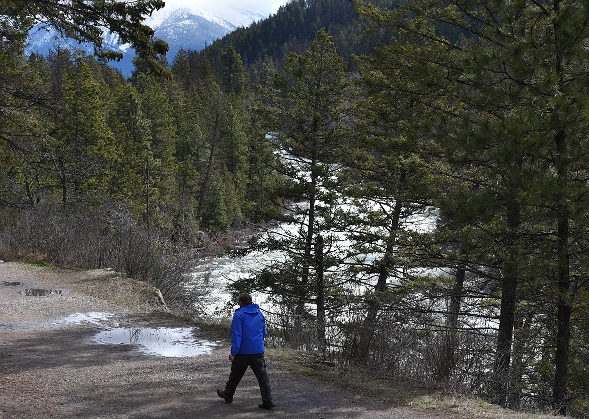 A hiker passes the Swan River on the Swan River Trail on Thursday. (Aaric Bryan/Daily Inter Lake)