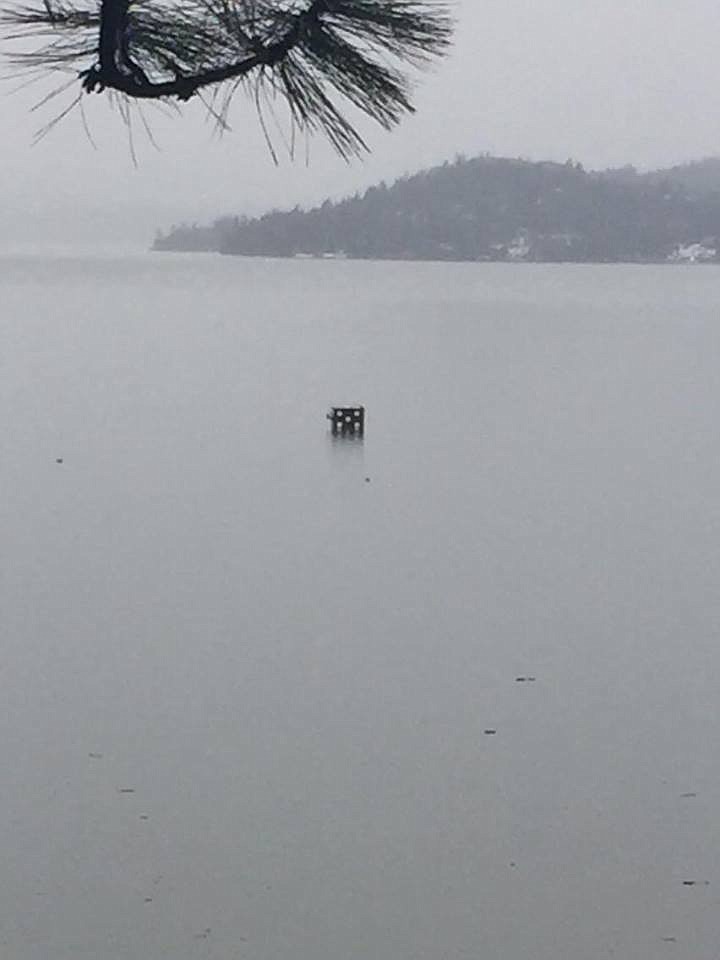 Courtesy photo
A giant die floats in Lake Coeur d&#146;Alene Friday.