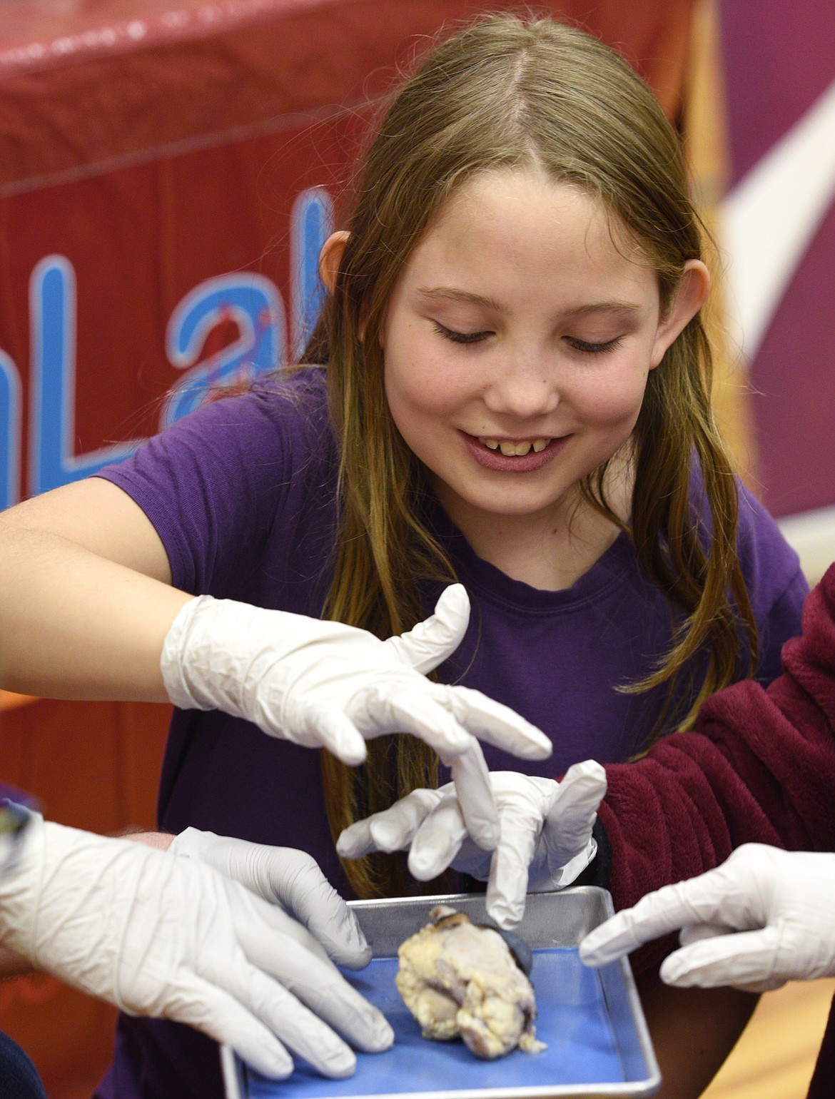 FOURTH-GRADER Anna Hardman touches a cow eye before it&#146;s dissected at the school on Thursday.