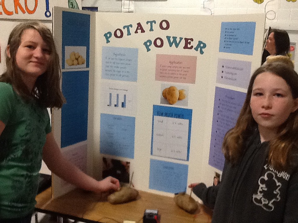 (Courtesy photo)
These Washington Elementary fifth graders proved potatoes are more than just food during the school science fair. All fifth- and sixth-grade students participated and the judging was done by ninth and tenth graders from Sandpoint High School.  Science fair projects covered a wide range of topics from the mysteries kaleidoscopes to paper airplane flight and elephant toothpaste.  Parents, friends, and fellow students were invited to view the exhibits and question the participants about their experiments and results.