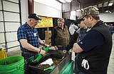 The prospects of gold