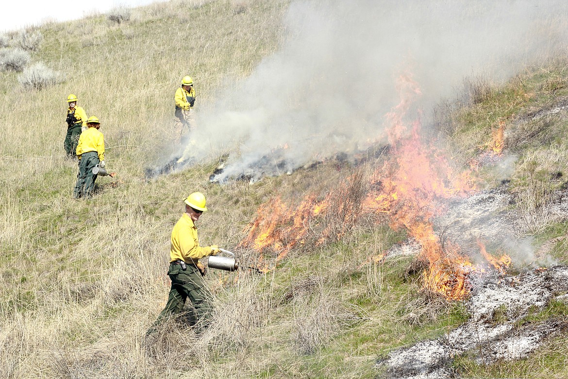 FROM LEFT: Patrick Bischof, Ian Smith, Brian Reed and Marlin Cooper of Plains-Paradise Rural Fire Department, taking part in controlled burn training near Plains. (Douglas Wilks photos/Clark Fork Valley Press)