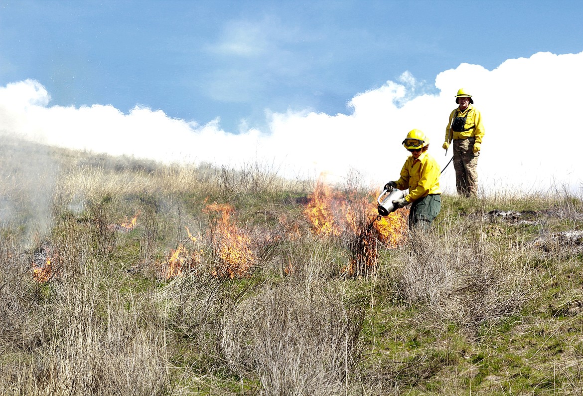 IAN SMITH (left) starts igniting very old dry weeds on a hill as Brian Reed watches a few feet away with a fire hose from Rescue One in his hand.