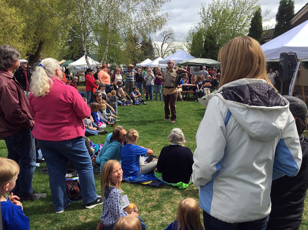 A HANDLER addresses the crowd while his feathered rests on his arm at the 2016 Flathead Earth Day Celebration. (Photo courtesy of Citizens for a Better Flathead)