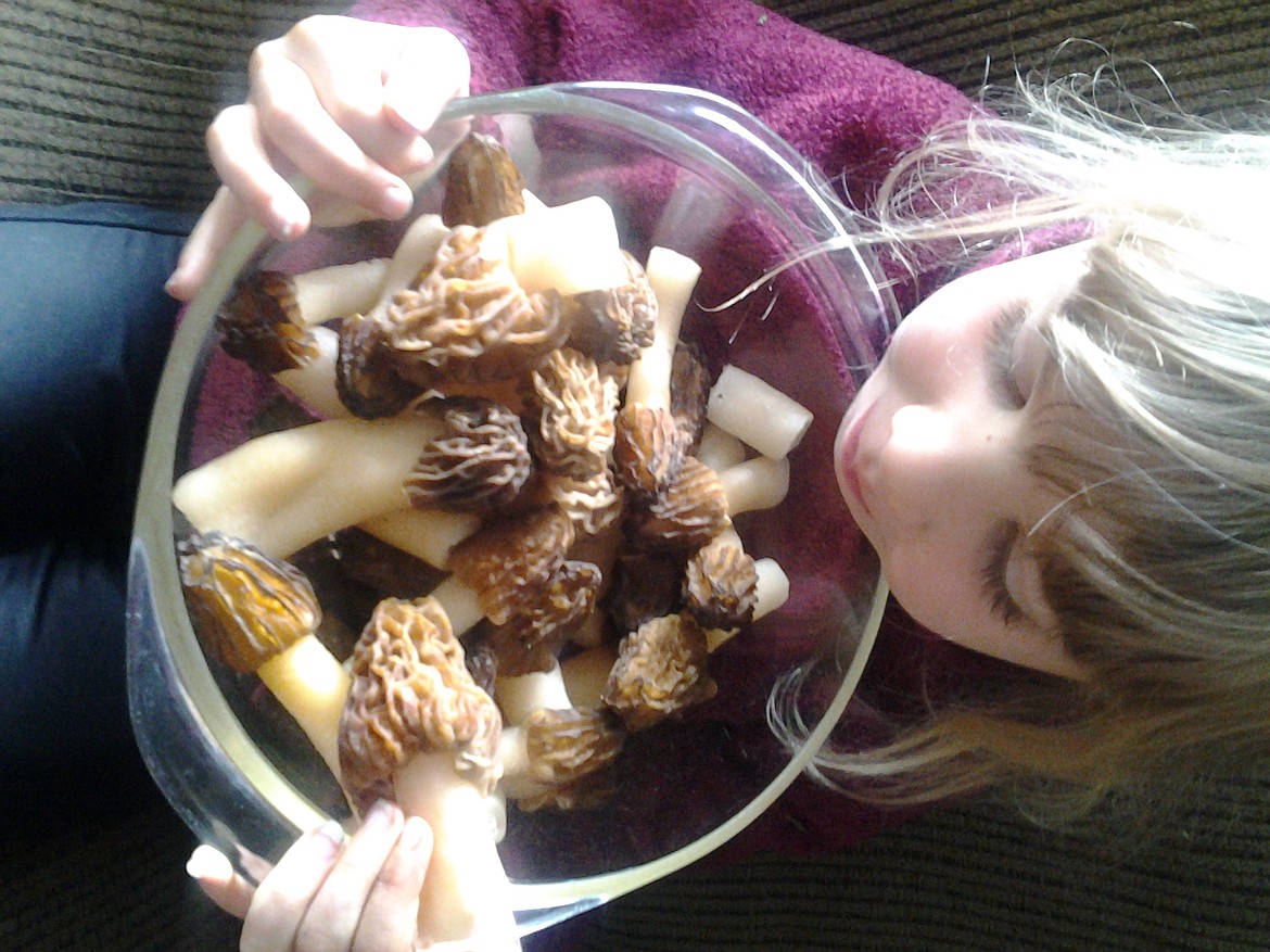 Ella proudly gazes on her Morel harvest.