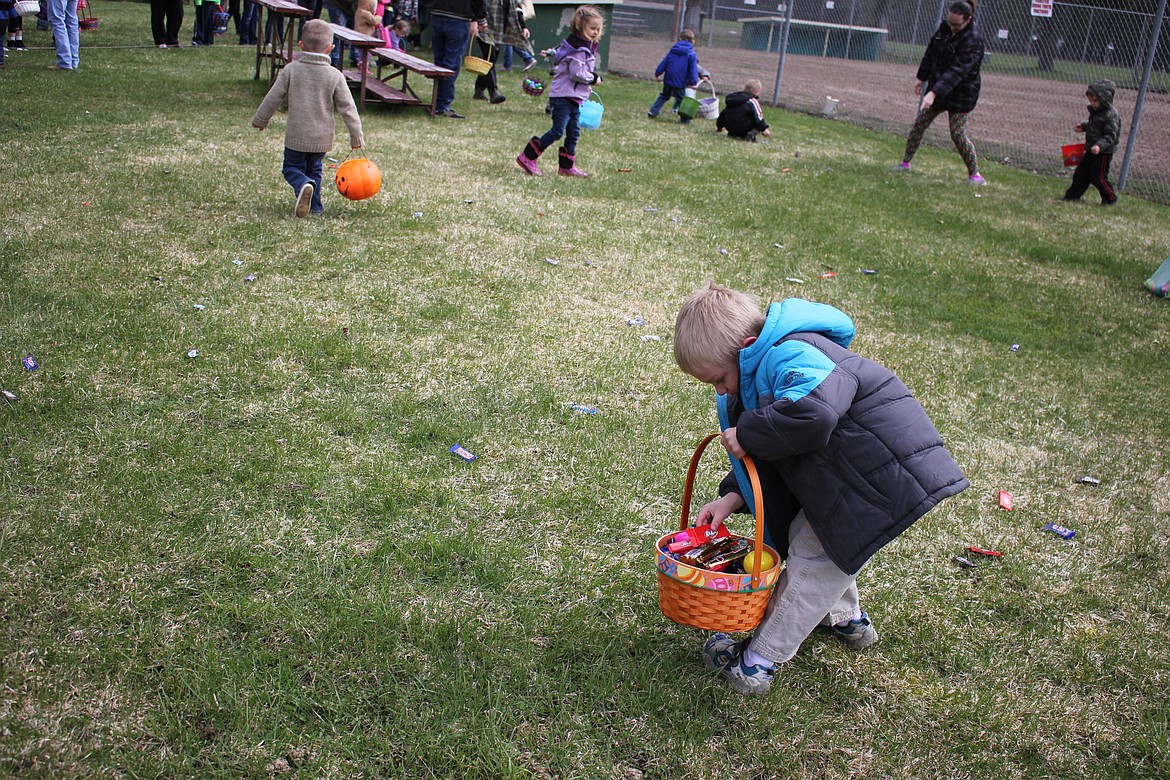 This preschool boy fills his basket with goodies. (Kathleen Woodford/Mineral Independent).