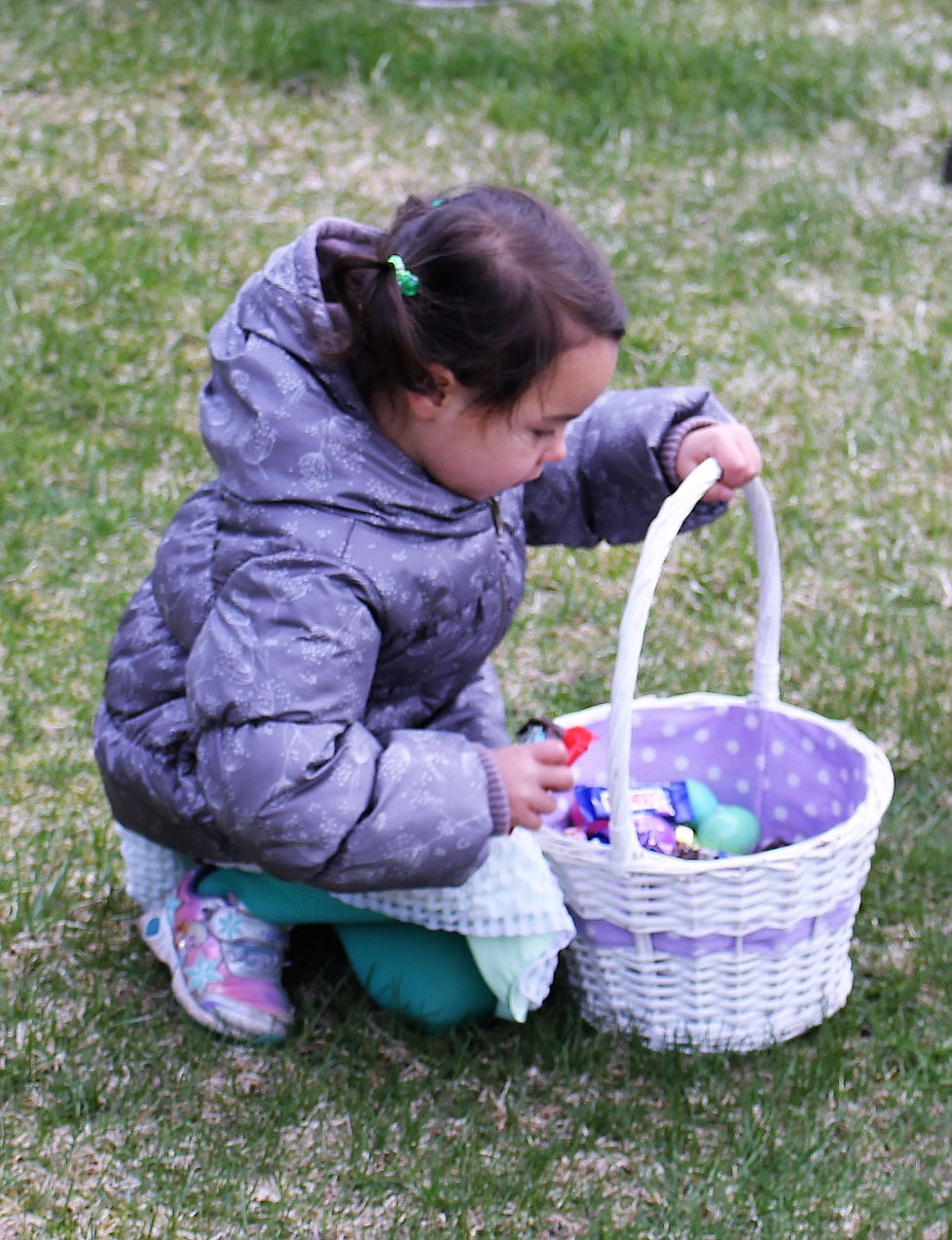 A preschool girls cautiously picks up candy and eggs and puts them into her basket. (Kathleen Woodford/Mineral Independent).