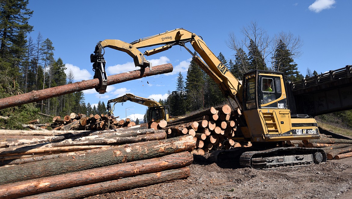 Two hundred thousand board feet of lumber are being cleared along U.S. 2 in Hungry Horse.