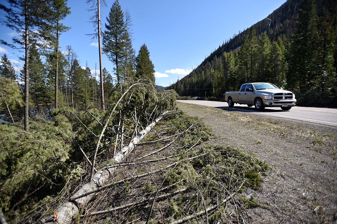 A truck makes its way west along US 2 passing downed trees that have been cut as part of the proposed construction and expansion of the highway.(Brenda Ahearn/Daily Inter Lake