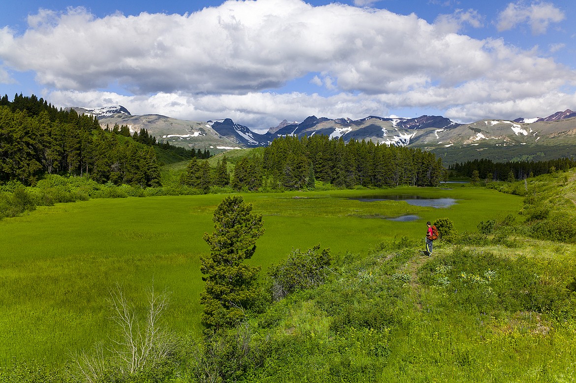 A hiker looks over Buffalo Lakes in the Badger Two Medicine.